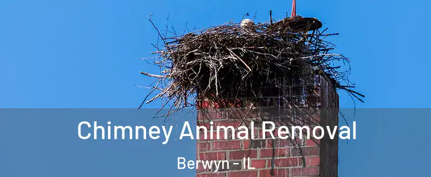 Chimney Animal Removal Berwyn - IL