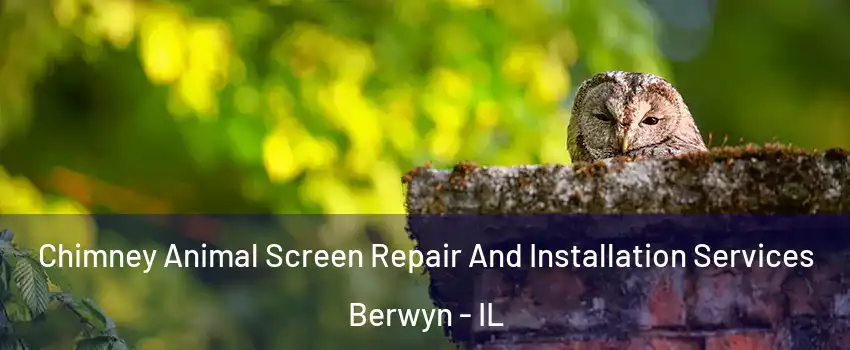  Chimney Animal Screen Repair And Installation Services Berwyn - IL