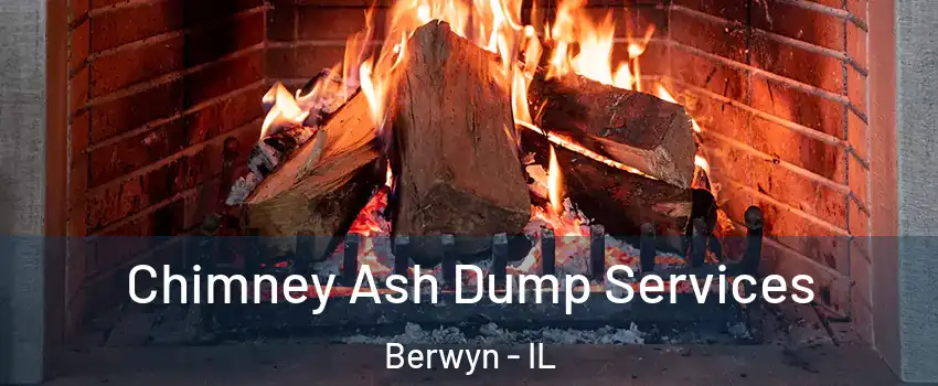  Chimney Ash Dump Services Berwyn - IL
