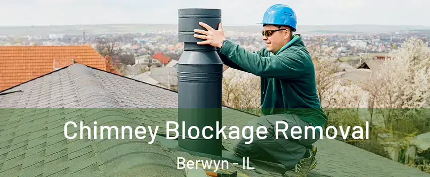  Chimney Blockage Removal Berwyn - IL