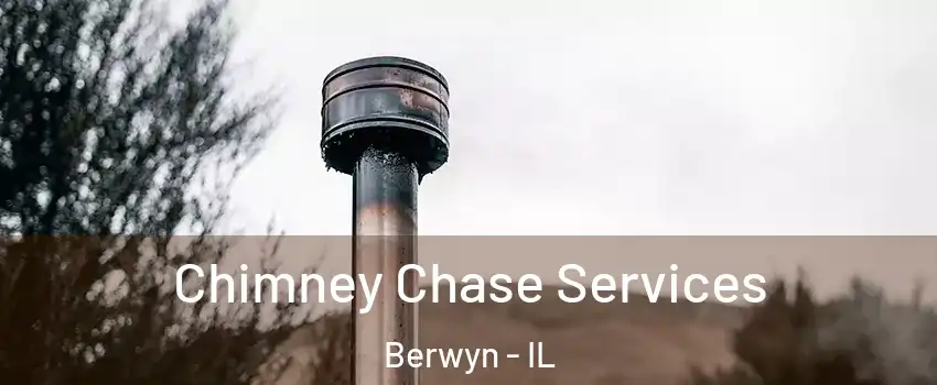  Chimney Chase Services Berwyn - IL