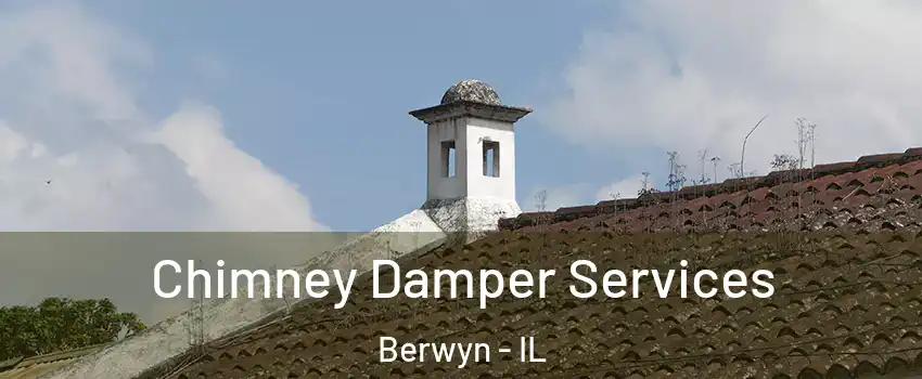  Chimney Damper Services Berwyn - IL