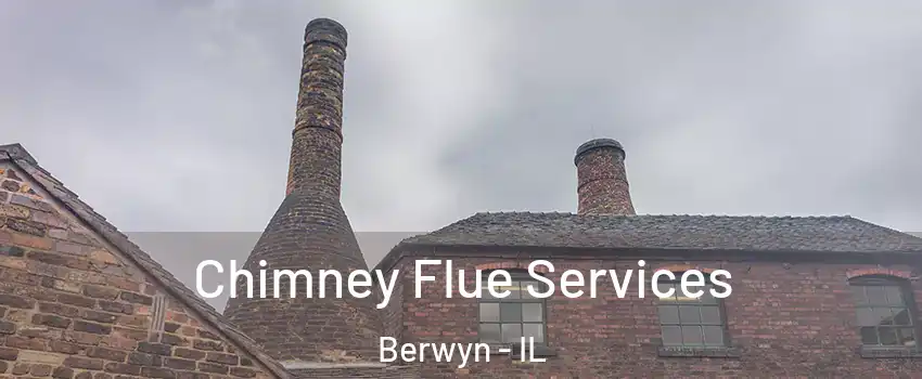  Chimney Flue Services Berwyn - IL