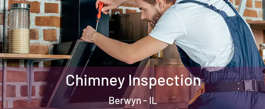  Chimney Inspection Berwyn - IL