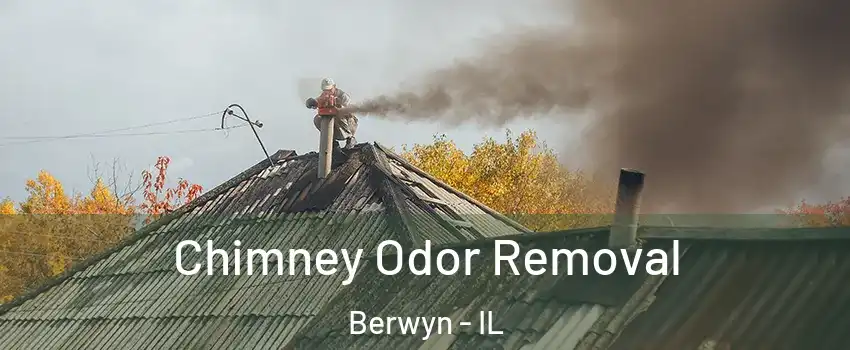  Chimney Odor Removal Berwyn - IL