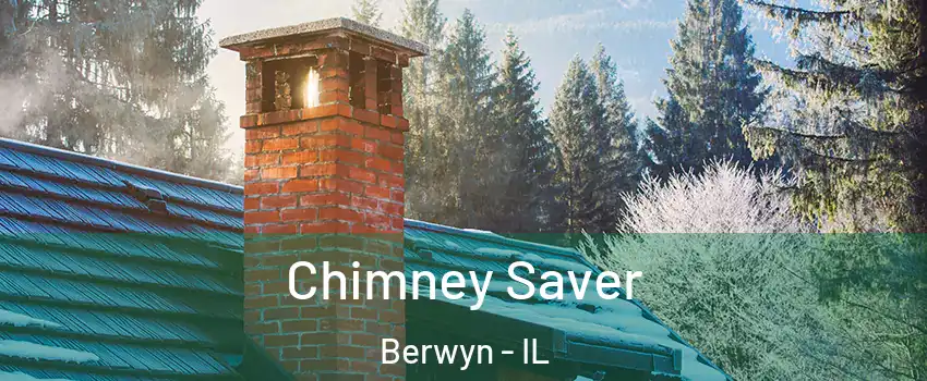  Chimney Saver Berwyn - IL