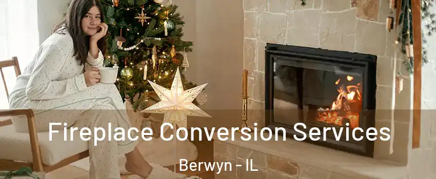  Fireplace Conversion Services Berwyn - IL