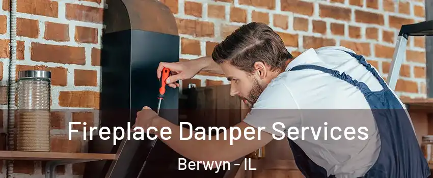  Fireplace Damper Services Berwyn - IL