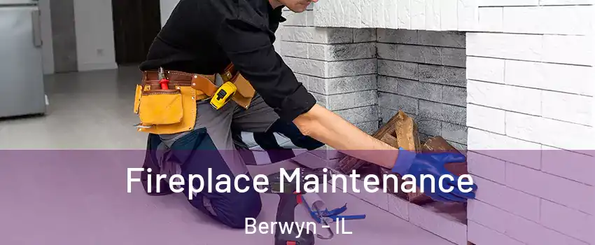  Fireplace Maintenance Berwyn - IL