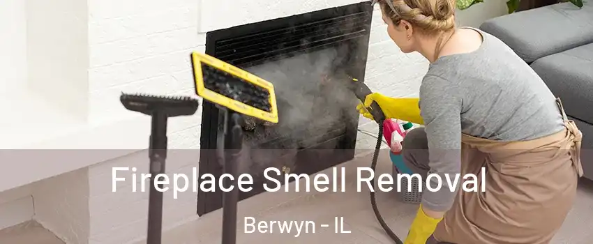 Fireplace Smell Removal Berwyn - IL