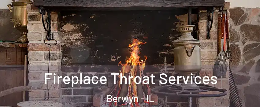  Fireplace Throat Services Berwyn - IL