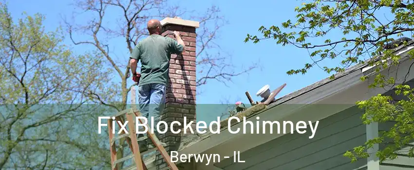  Fix Blocked Chimney Berwyn - IL