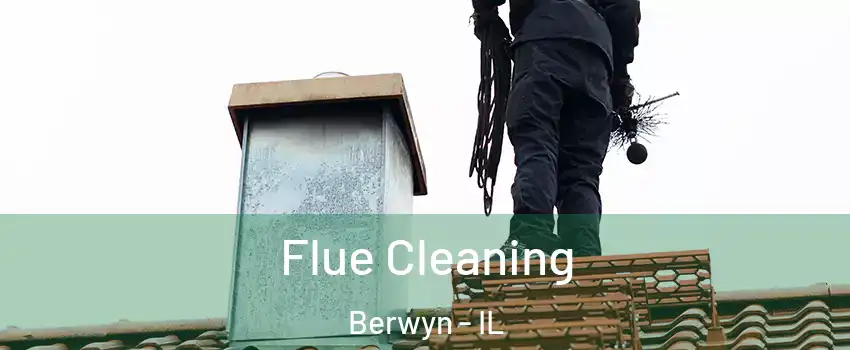  Flue Cleaning Berwyn - IL