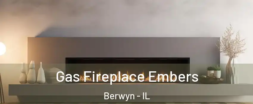  Gas Fireplace Embers Berwyn - IL