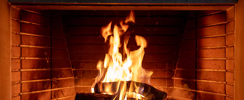 Soot Cleanup Services in Berwyn, IL