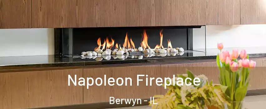  Napoleon Fireplace Berwyn - IL