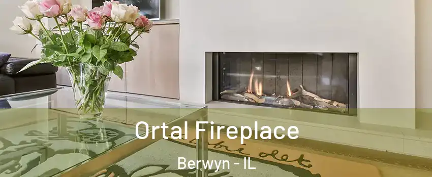 Ortal Fireplace Berwyn - IL